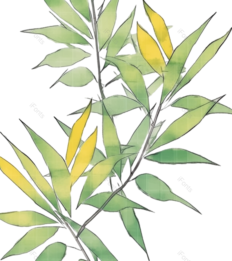叶子图片,装饰元素,元素PNG,绿叶免抠素材